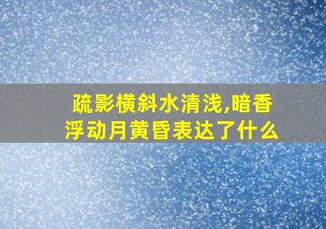 疏影横斜水清浅,暗香浮动月黄昏表达了什么