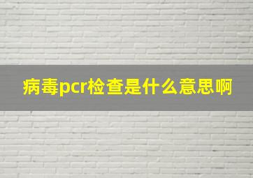 病毒pcr检查是什么意思啊