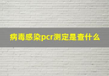 病毒感染pcr测定是查什么