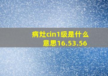 病灶cin1级是什么意思16.53.56