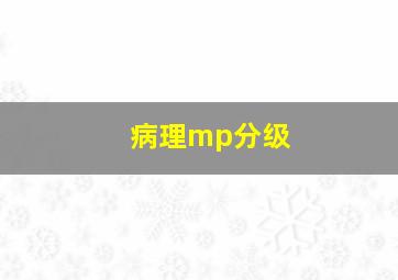 病理mp分级