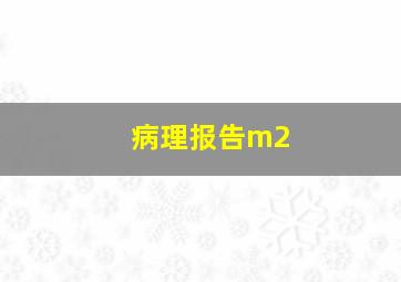 病理报告m2