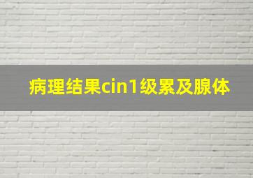 病理结果cin1级累及腺体