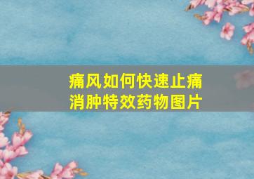 痛风如何快速止痛消肿特效药物图片