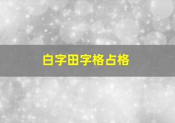 白字田字格占格