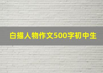 白描人物作文500字初中生