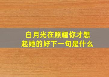 白月光在照耀你才想起她的好下一句是什么