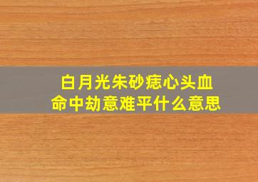 白月光朱砂痣心头血命中劫意难平什么意思