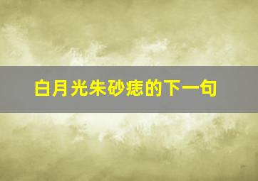 白月光朱砂痣的下一句