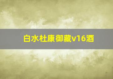 白水杜康御藏v16酒