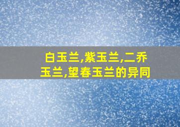 白玉兰,紫玉兰,二乔玉兰,望春玉兰的异同