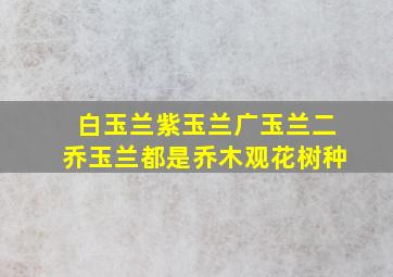 白玉兰紫玉兰广玉兰二乔玉兰都是乔木观花树种