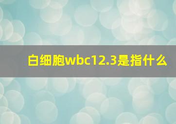 白细胞wbc12.3是指什么