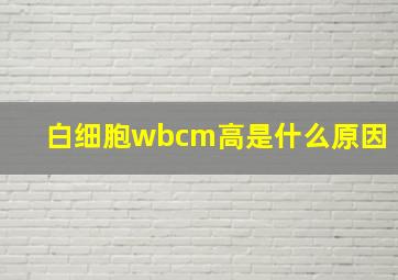 白细胞wbcm高是什么原因