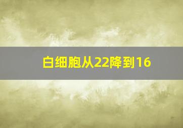 白细胞从22降到16