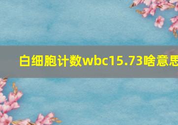 白细胞计数wbc15.73啥意思