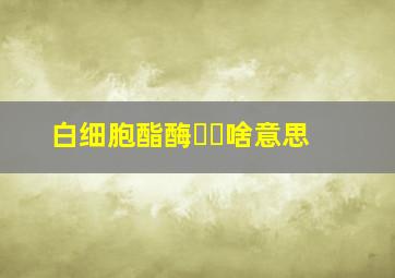 白细胞酯酶➕➖啥意思