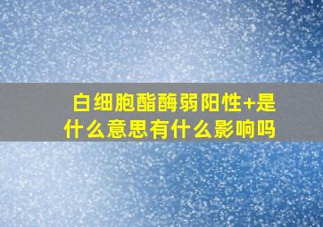 白细胞酯酶弱阳性+是什么意思有什么影响吗