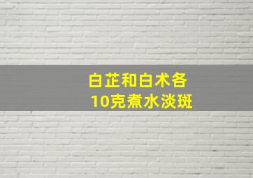 白芷和白术各10克煮水淡斑