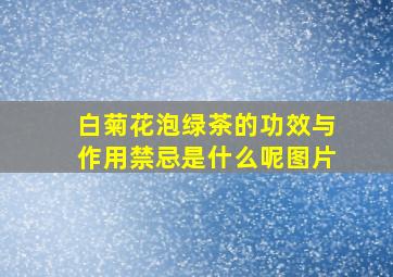 白菊花泡绿茶的功效与作用禁忌是什么呢图片