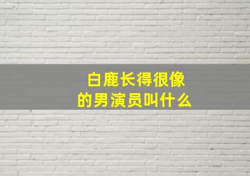 白鹿长得很像的男演员叫什么