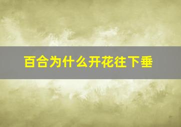 百合为什么开花往下垂