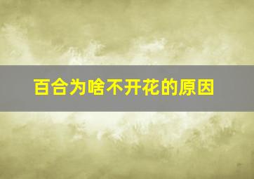 百合为啥不开花的原因