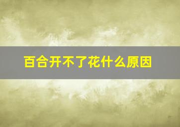 百合开不了花什么原因