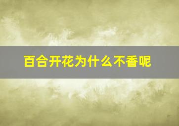 百合开花为什么不香呢