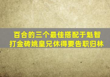 百合的三个最佳搭配于魁智打金砖姚皇兄休得要告职归林