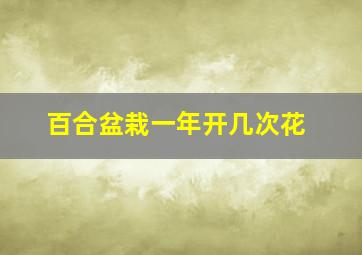 百合盆栽一年开几次花