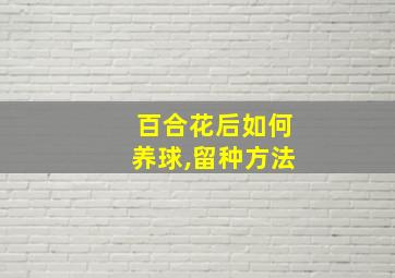 百合花后如何养球,留种方法