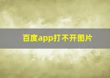 百度app打不开图片