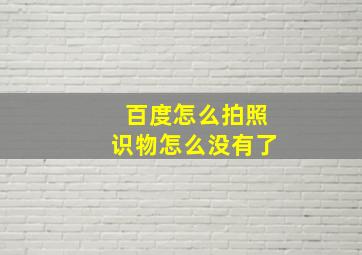 百度怎么拍照识物怎么没有了