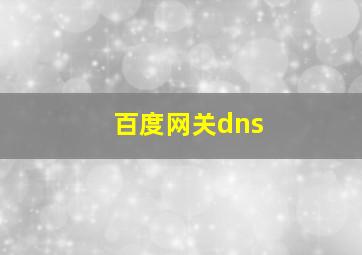 百度网关dns