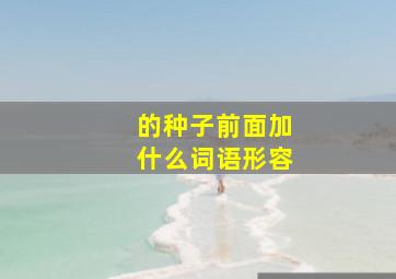 的种子前面加什么词语形容