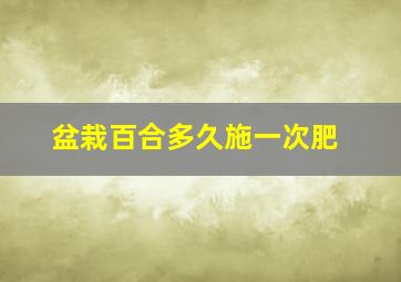 盆栽百合多久施一次肥