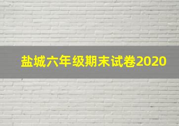 盐城六年级期末试卷2020