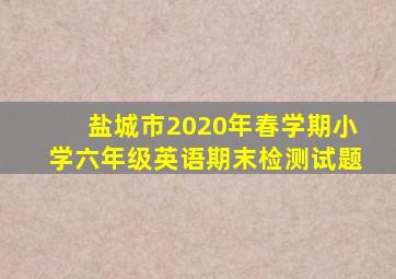 盐城市2020年春学期小学六年级英语期末检测试题