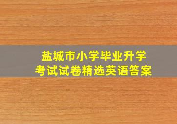 盐城市小学毕业升学考试试卷精选英语答案