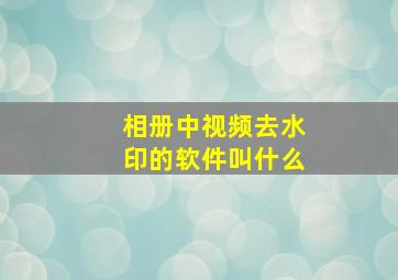 相册中视频去水印的软件叫什么