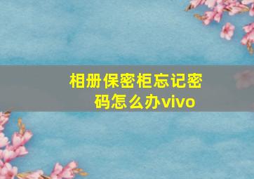 相册保密柜忘记密码怎么办vivo