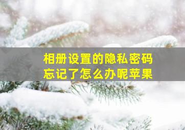 相册设置的隐私密码忘记了怎么办呢苹果