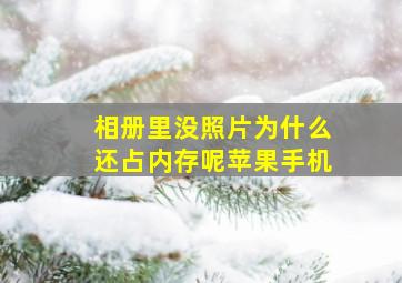 相册里没照片为什么还占内存呢苹果手机