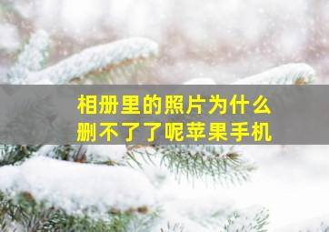 相册里的照片为什么删不了了呢苹果手机