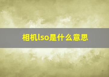 相机lso是什么意思