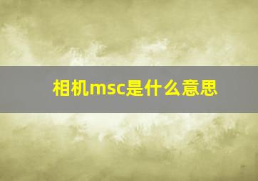 相机msc是什么意思