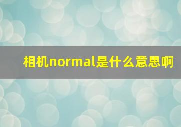 相机normal是什么意思啊