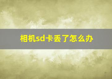 相机sd卡丢了怎么办