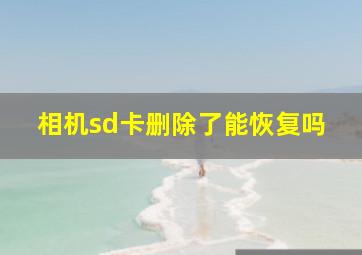 相机sd卡删除了能恢复吗